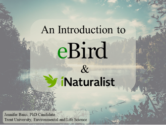 Interested in learning more about using species reporting platforms, such as eBird and iNaturalist? Jenn Baici, a PhD Candidate at Trent University, is offering a three-hour introductory workshop all about eBird, iNaturalist, and other commonly (and not-so commonly) used species reporting platforms. She will cover 1. How to create profiles, 2. How to add observations, and 3. Who uses these reporting platforms and why. Jenn Baici is studying wild turkey social structure and behaviour in the Peterborough area. Part of Jenn’s research also involves estimating the size and distribution of Ontario’s wild turkey population with the help of citizen scientists. For the past several winters, Jenn has requested and curated wild turkey observations submitted through eBird and iNaturalist and is using this data to model where turkeys are today and where they may go in the future. She has extensive experience navigating these platforms as a user and as a researcher and is extremely excited to share her knowledge of them with the Peterborough community to further wildlife research while fostering community engagement with nature. Contact Jenn Baici directly for more information: jenniferbaici@trentu.ca jenniferbaici[at]trentu[dot]ca